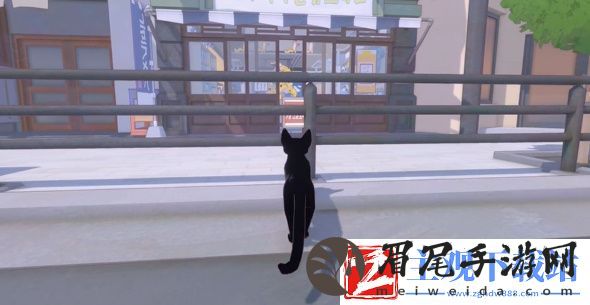 小猫咪大城市猫老大VS小柚子成就达成