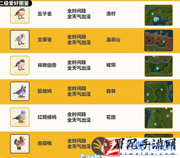 心动小镇观鸟图鉴有哪些