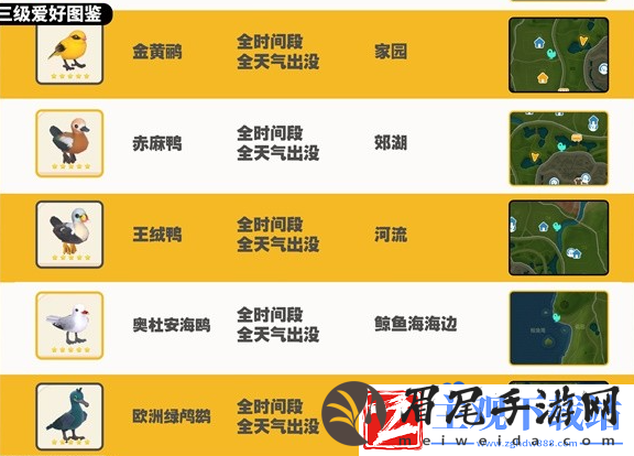 心动小镇观鸟图鉴有哪些