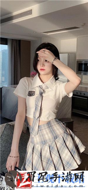 解析欧洲无线一线二线三W955：跨越时空的无线科技之旅!