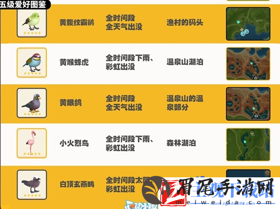 心动小镇观鸟图鉴有哪些
