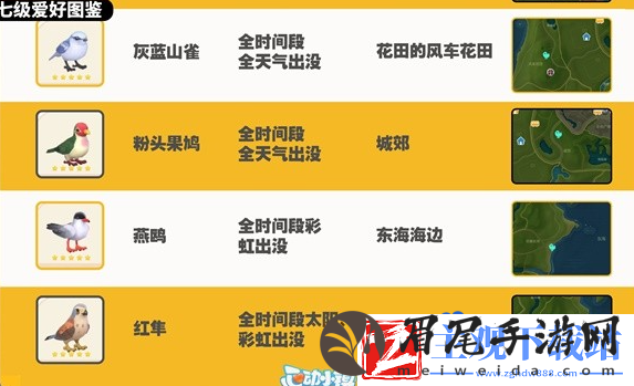 心动小镇观鸟图鉴有哪些