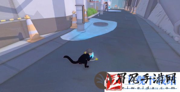 小猫咪大城市遇到一只鸟儿成就达成