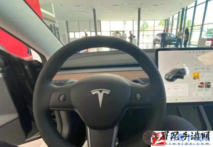 小特钥匙和特斯拉软件冲突吗