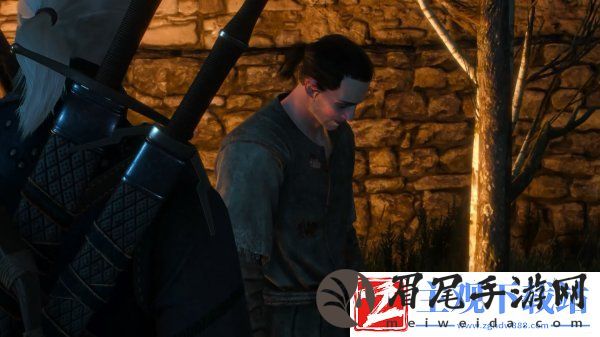 巫师3次世代版任务扩展MOD