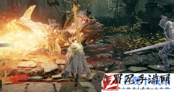 艾尔登法环回击交错树在哪