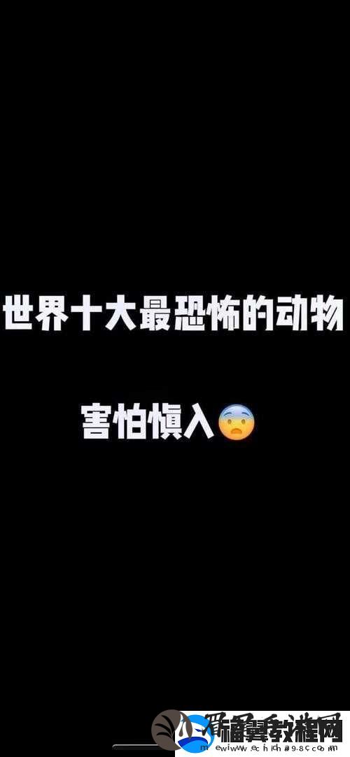 人马畜禽