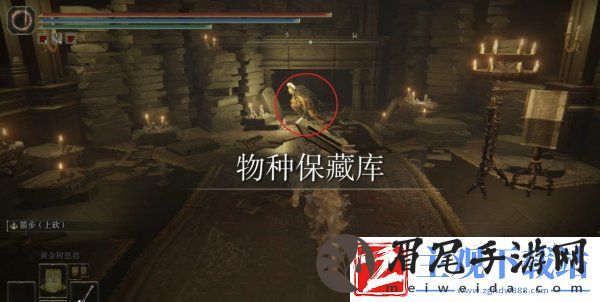 艾尔登法环回击交错树在哪
