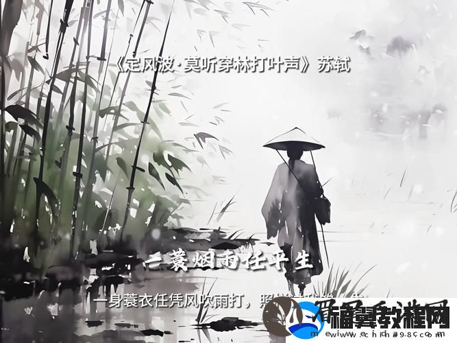 苏家有女1v5一蓑烟雨