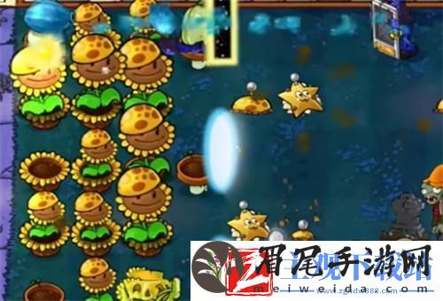 植物大战僵尸杂交版保护传送门怎么过