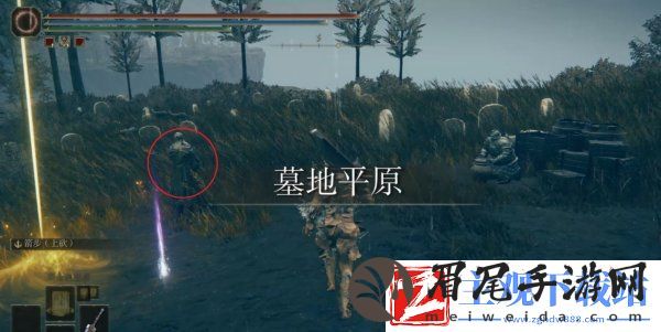 艾尔登法环回击交错树在哪