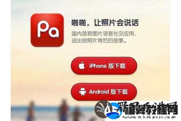 探索1000部啪啪啪站的精选内容