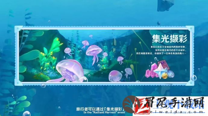 原神4.1版本都有什么新的活动呢