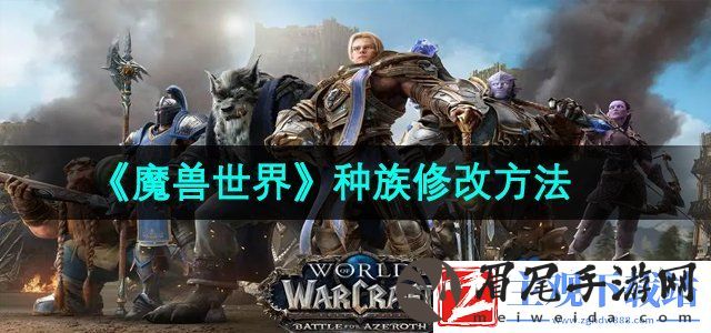 魔兽世界种族怎么修改