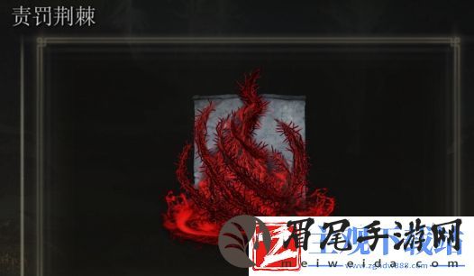 艾尔登法环责罚荆棘是否适合仿身泪滴介绍