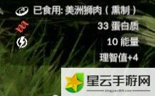 绿色地狱美洲狮用法一览