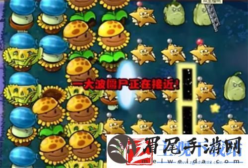 植物大战僵尸杂交版保护传送门怎么过