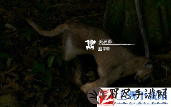 绿色地狱美洲狮用法一览