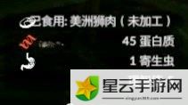 绿色地狱美洲狮用法一览