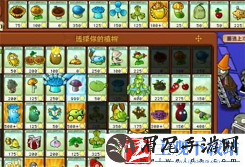 植物大战僵尸杂交版保护传送门怎么过