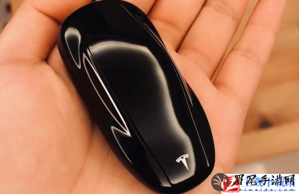 小特钥匙和特斯拉软件冲突吗