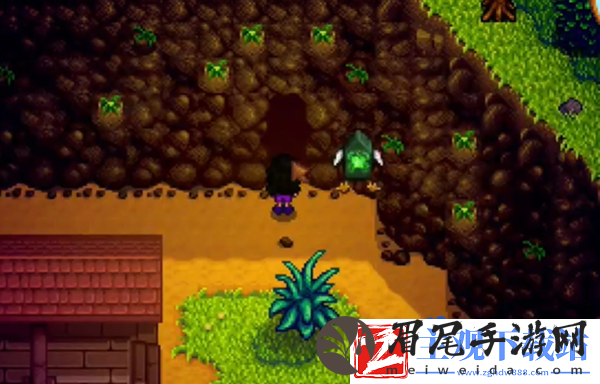 星露谷物语魔法墨水怎么获得