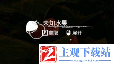 绿色地狱橘子用途指南