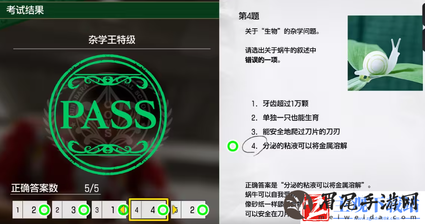 如龙8考试答案一览