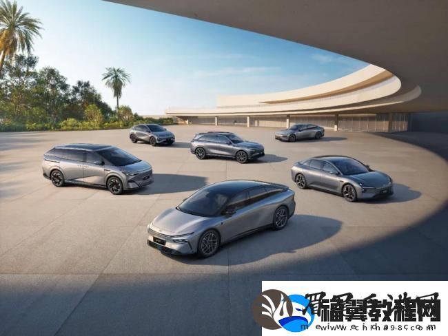 何小鹏称自己长得老实总被骗：为搞明白钢材成本问题花了-9-个月