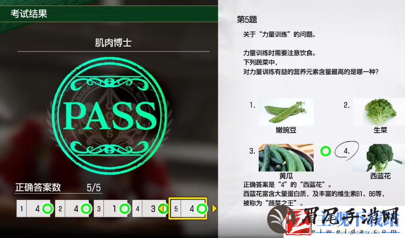 如龙8考试答案一览
