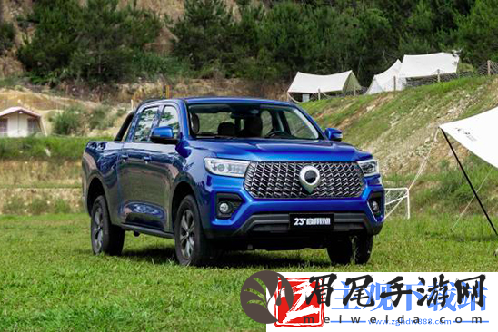 长城商用炮新车型登场-售价区间15.28-15.98万元