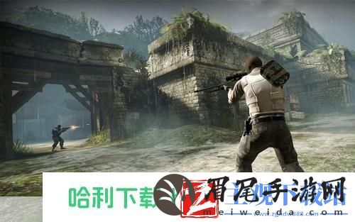 反恐精英online单机版