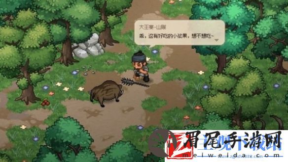 大侠立志传迷踪林攻略大全