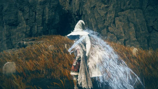 艾尔登法环背菈妮MOD