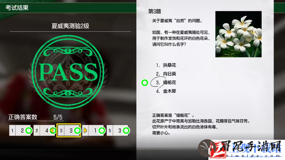 如龙8考试答案一览