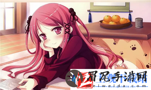 抬头看镜子里的结合处：远程访问控制