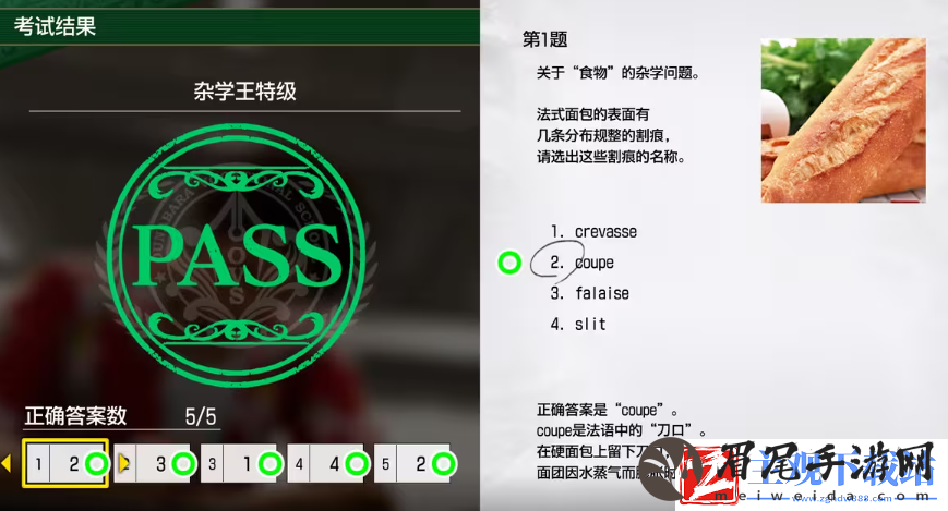 如龙8考试答案一览
