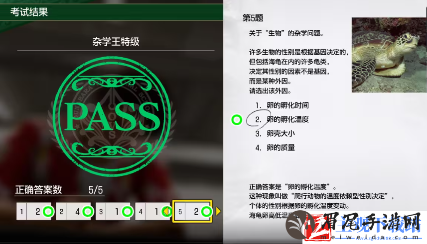如龙8考试答案一览