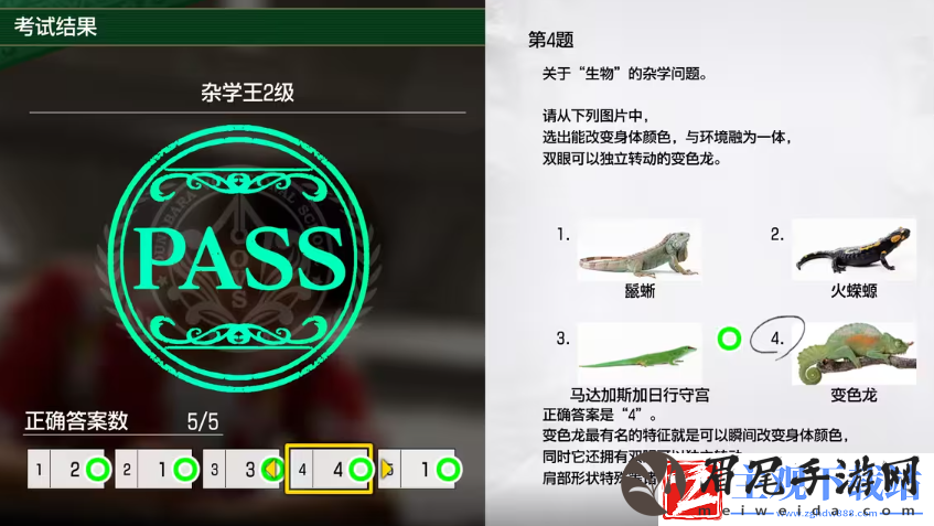 如龙8考试答案一览