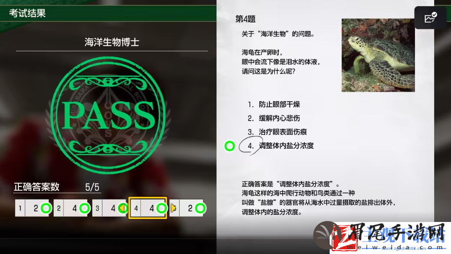 如龙8考试答案一览
