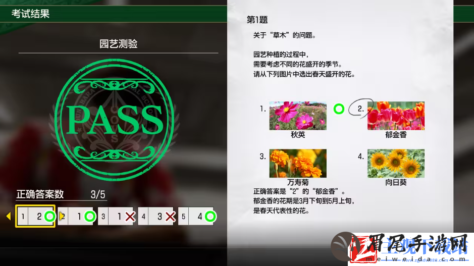 如龙8考试答案一览