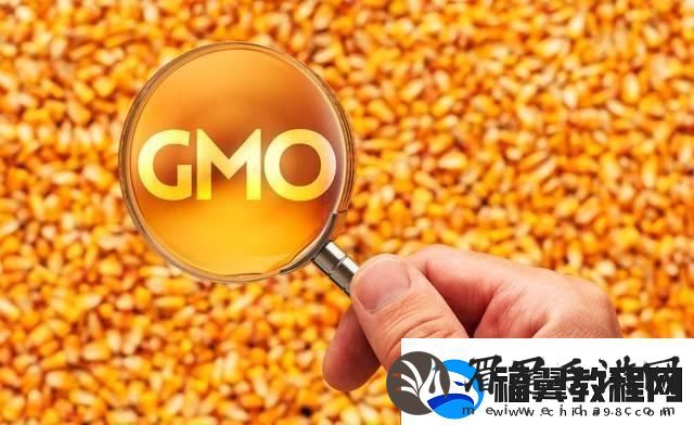 玉米强势上涨！你何时卖粮