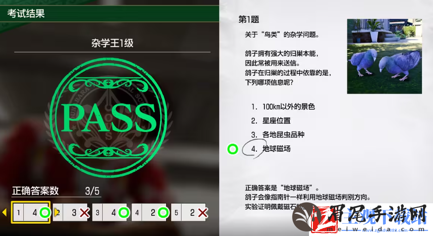 如龙8考试答案一览