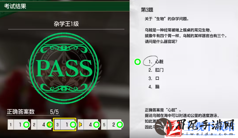 如龙8考试答案一览