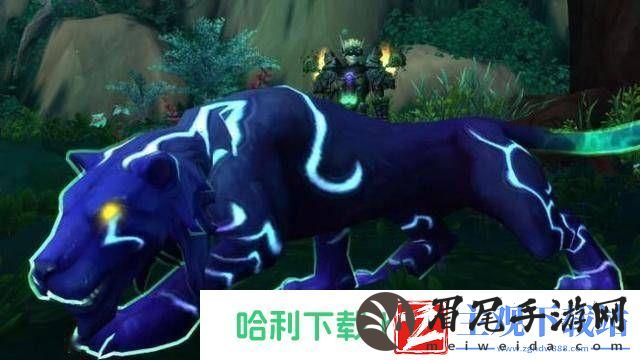 魔兽世界9.0灵魂兽在哪