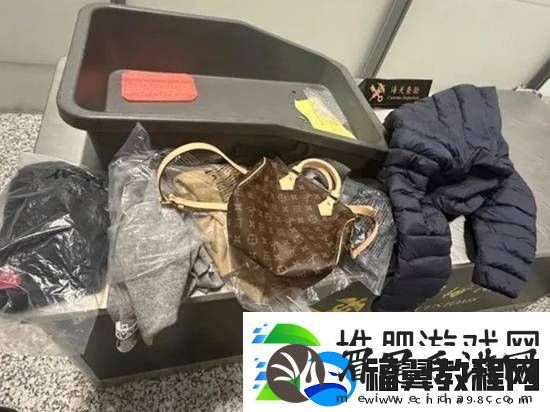 玩玄学的-两旅客揣着"海关全瞎符"携超量奢侈品入境