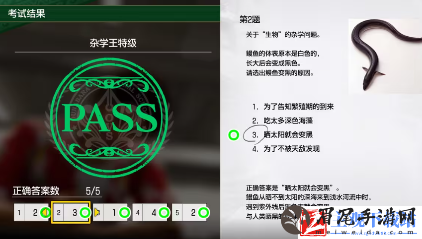 如龙8考试答案一览