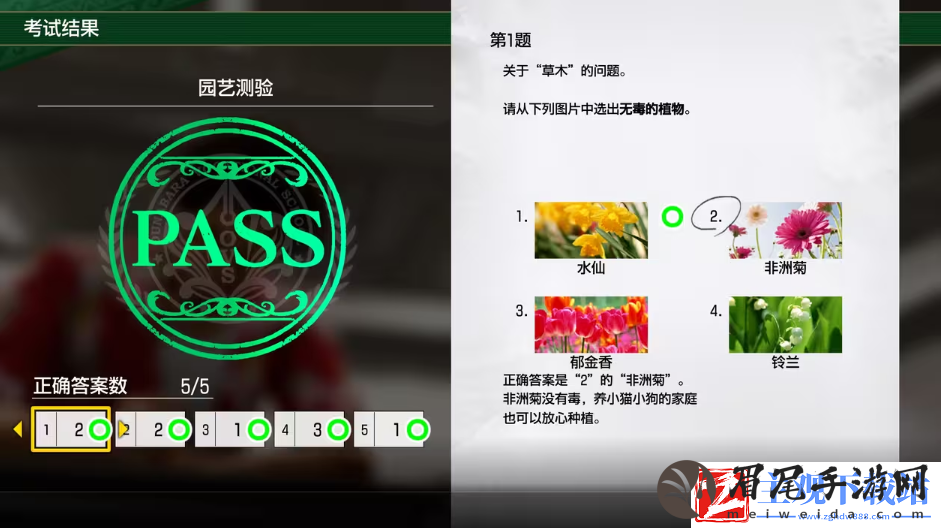 如龙8考试答案一览