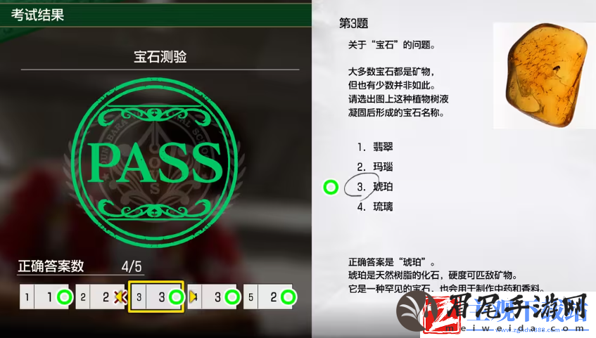 如龙8考试答案一览