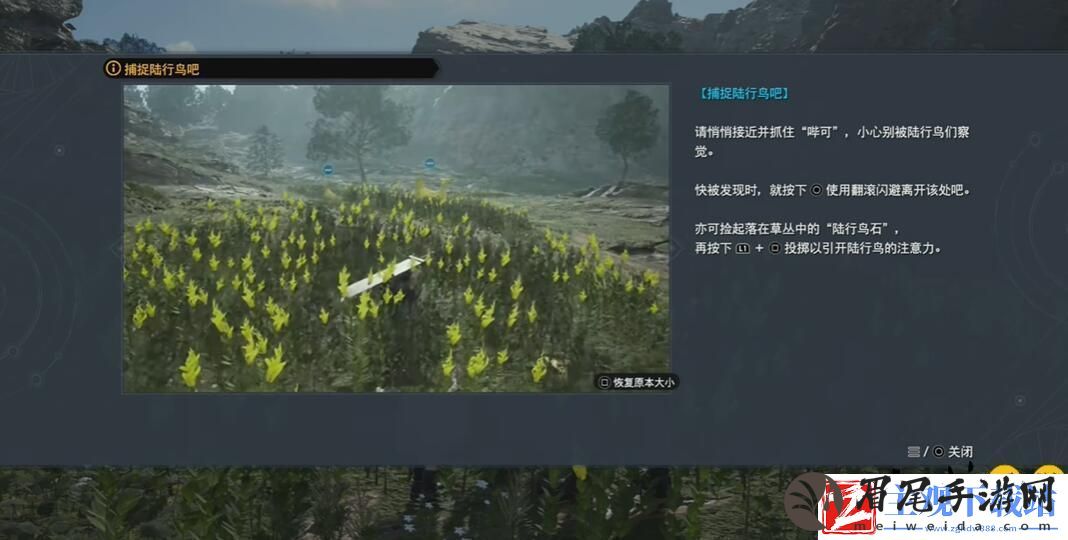 最终幻想7重生格拉斯兰陆行鸟站牌在哪里